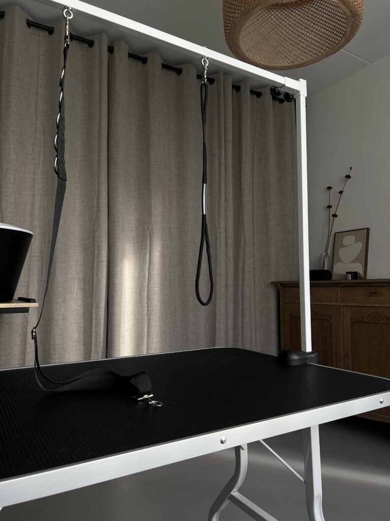 Een trimsalon kiezen. Waar let je op?